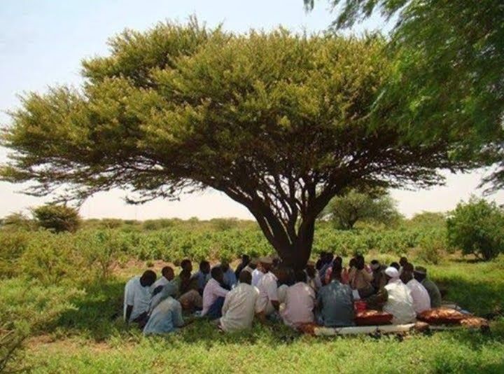 HORT team of experts collaborating